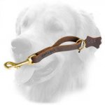 Easy Fast Grab Pull Tab Leather Golden Retriever Leash