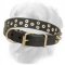 Stylish "Galaxy Trip" Leather Golden Retriever Collar with Studs