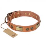 "Lost Desert" FDT Artisan Leather Golden Retriever Collar with Brass Decorations