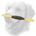 Hard Leather Golden Retriever Bite Tug for Young Dog Training