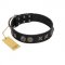 "Century Silver" Designer Handmade FDT Artisan Black Leather Golden Retriever Collar
