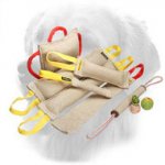 Jute Golden Retriever Bite Training Set (9 Dog Supplies)