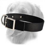 Golden Retriever Personalized 2 ply Nylon Collar