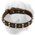 Golden Retriever Leather Collar Studs Pyramids