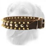 Exclusive Leather Collar with Nickel Studs and Brass Spikes