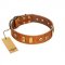 "Egyptian Script" FDT Artisan Tan Leather Golden Retriever Collar with Plates and Small Studs
