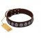 "Charming Circles" FDT Artisan Brown Leather Golden Retriever Collar with Silver-like Studs