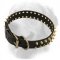 Designer Leather Golden Retriever Collar with Brass Spikes