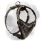 Stylish Leather Golden Retriever Harness with Barbed Wire Drawing