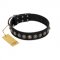 "Black Eagle" Handcrafted FDT Artisan Black Leather Golden Retriever Collar with Silver-Like Adornments