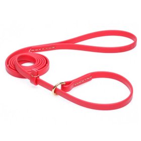 Durable Red Biothane Golden Retriever Leash and Collar Combo