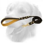 Golden Retriever Leather Leash Braided 20 mm