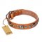 "Era of Future" FDT Artisan Handcrafted Tan Leather Golden Retriever Collar with Decorations