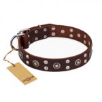 "Pirate Treasure" FDT Artisan Exciting Brown Leather Golden Retriever Collar with Studs