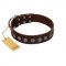 "Starry-Eyed" Best Quality FDT Artisan Brown Designer Leather Golden Retriever Collar with Small Plates