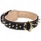 Gorgeous Design Leather Collar for Golden Retrievers