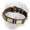 Exclusive Gladiator Design Leather Collar with Brass Plates and Nickel Spikes
