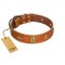 "Space Warrior" FDT Artisan Tan Leather Golden Retriever Collar with Ovals and Stars