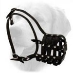 Full Grain Leather Everyday Dog Muzzle