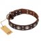 "Age of Beauty" FDT Artisan Incredible Studded Brown Leather Golden Retriever Collar