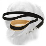 Golden Retriever Nylon Leash Padded Handle