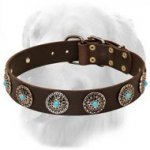 Golden RetrieverBlue Stones Decorated Leather Dog Collar