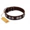 "High and Mighty" FDT Artisan Classy Brown Leather Golden Retriever Collar with Embellished Brooches