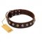 "Gape Buster" FDT Artisan Brown Leather Golden Retriever Collar with One Row of Studs