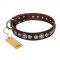 "Step and Sparkle" FDT Artisan Glamorous Studded Brown Leather Golden Retriever Collar