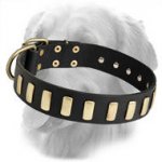 Fantastic Designer Leather Collar with 33 Plates