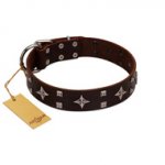 "Trendy Candy" FDT Artisan Brown Leather Golden Retriever Collar Adorned with Stars and Tiny Squares