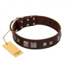 "Object of Virtu" FDT Artisan Brown Leather Golden Retriever Collar with Old Silver-like Square Studs and Pyramids