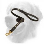 Studded Leather Golden Retriever Leash