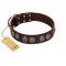 "Treasure Hunter" FDT Artisan Brown Leather Golden Retriever Collar with Old-Bronze-like and Silvery Medallions