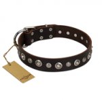 "Gorgeous Shields" FDT Artisan Brown Leather Golden Retriever Collar with Old Silver-like Circles and Small Camomiles