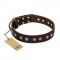 "Bronze Sheen" FDT Artisan Leather Golden Retriever Collar with Brass-Plated Studs