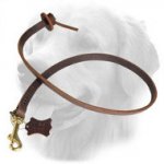 Professional Short Pull Tab Leather Golden Retriever Leash