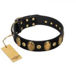 "Venerable Pawty" FDT Artisan Black Leather Golden Retriever Collar with Old Bronze-like Ovals and Studs