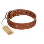 "Sweet Caramel" Designer FDT Artisan Tan Leather Golden Retriever Collar