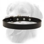 Minimalistic Design Leather Collar 1 Inch Width