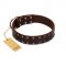"Star Party" Handmade FDT Artisan Brown Leather Golden Retriever Collar with Silver-Like Studs