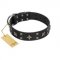 "Star Excitement" Modern FDT Artisan Black Leather Golden Retriever Collar with Studs and Stars
