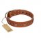 "Star Shine" Exclusive FDT Artisan Tan Leather Golden Retriever Collar with Silver-Like Adornments