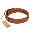 "Heroic Deeds" Designer Handmade FDT Artisan Tan Leather Golden Retriever Collar