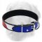 Patriotic American Flag Leather Collar for Golden Retrievers