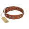 "Era Infinitum" FDT Artisan Tan Leather Golden Retriever Collar Adorned with Chrome-plated Circles