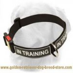Durable Nylon Golden Retriever Collar with Identification Patches