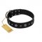"Mr. Elegance" Designer FDT Artisan Black Leather Golden Retriever Collar with Silver-Like Studs