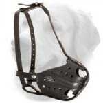 Golden Retriever Police Service Leather Muzzle