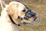 Extra Comfortable Wire Basket Muzzle  Extra Comfortable Wire Basket Muzzle